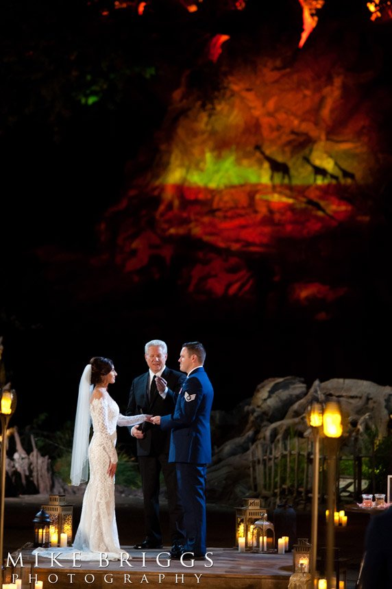 Disney World Animal Kingdom Wedding