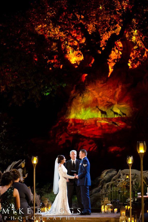 Disney World Animal Kingdom Wedding