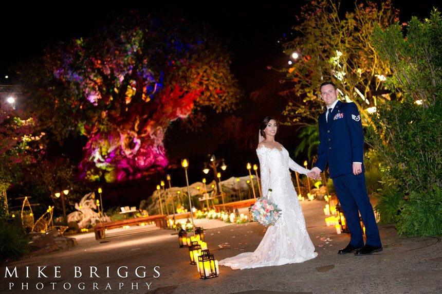 Disney World Animal Kingdom Wedding