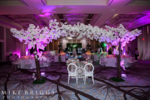 Four Seasons Orlando Wedding Photographer