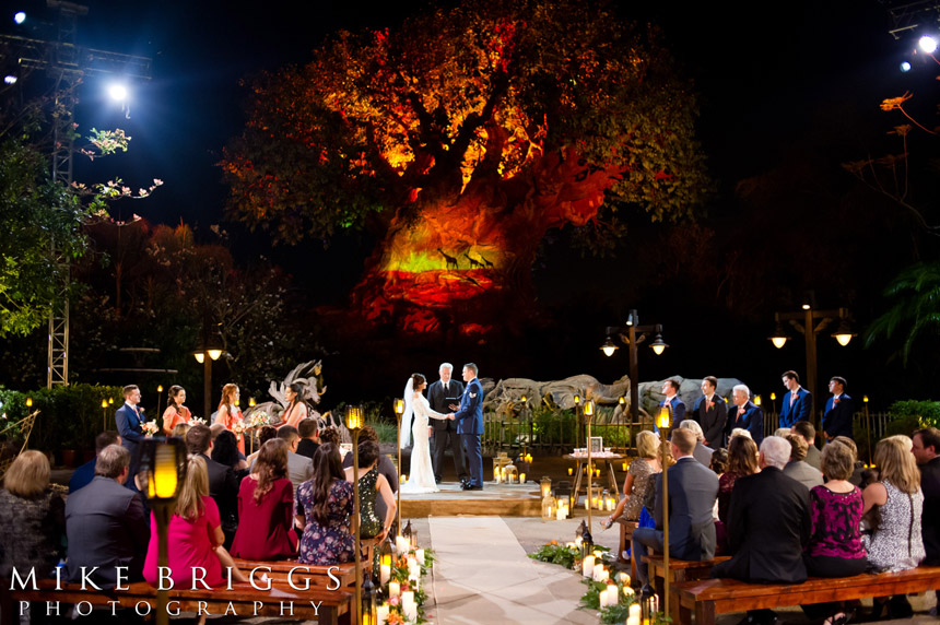 orlando wedding venues 04