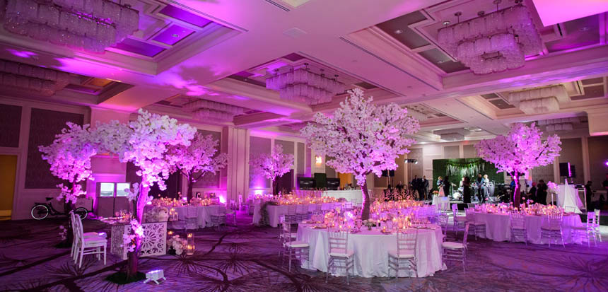 wedding venues orlando 50